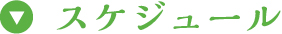 スケジュール